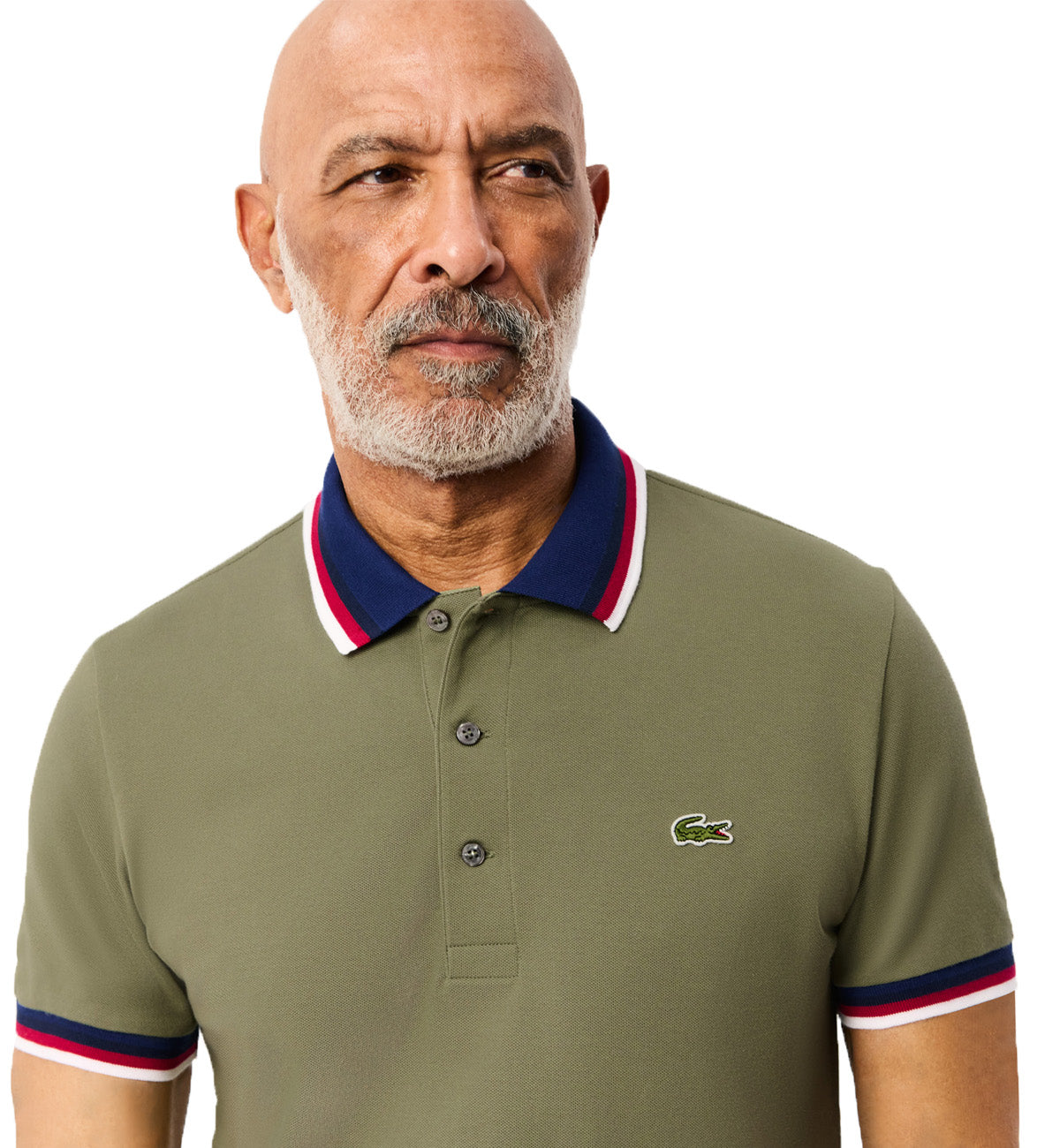 Lacoste Stripe Collar Polo Shirt (Khaki Green)