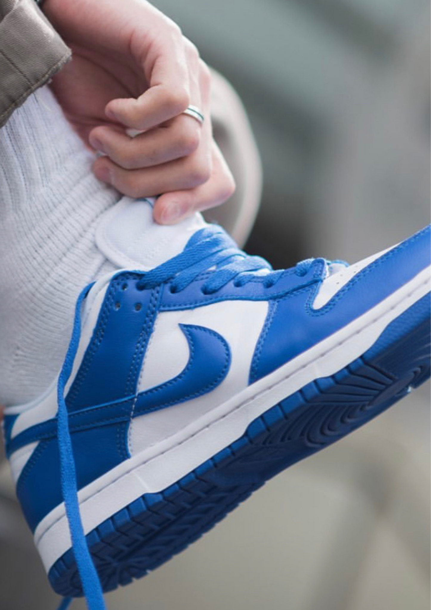 Nike Dunk Low "Kentucky"