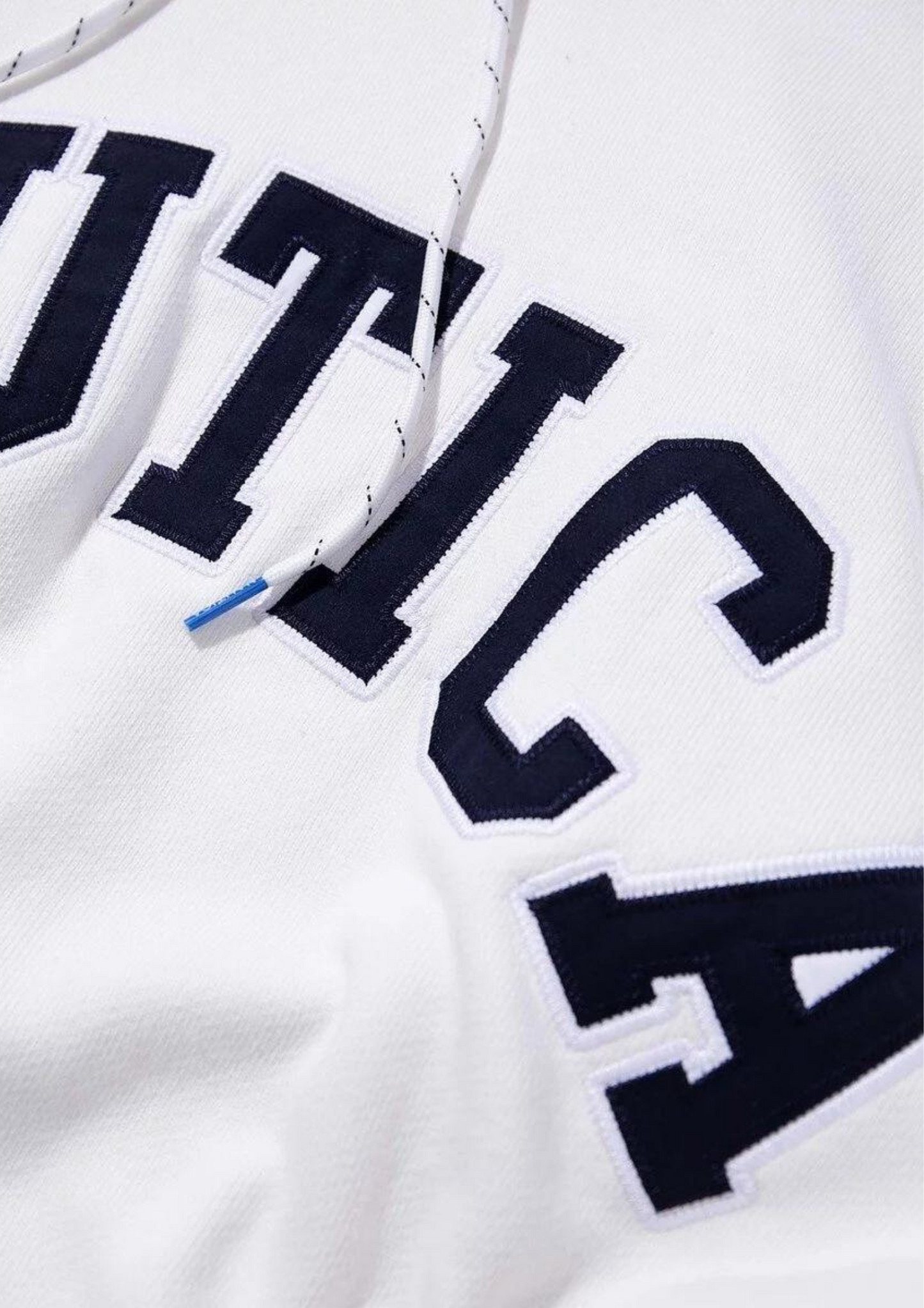 NAUTICA Arch Logo Hoodie 2.2 ( JAPAN ) (White)