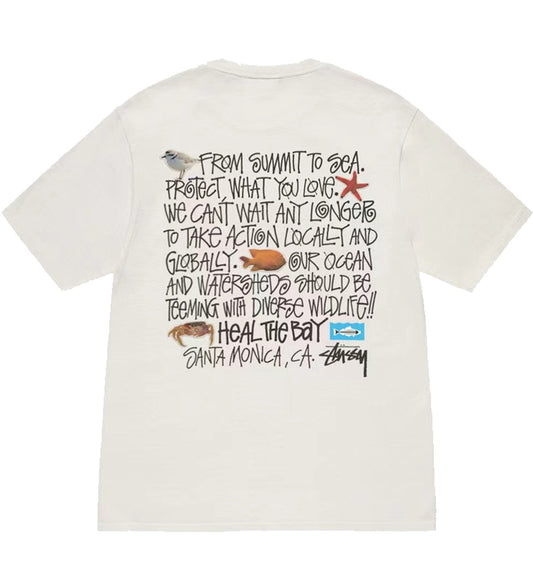 Stussy Taps Heal Coastal Tee (White)