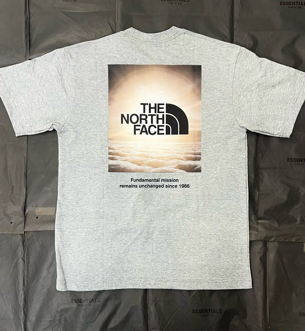 The North Face Natural Phenomenon T-Shirt (Grey)