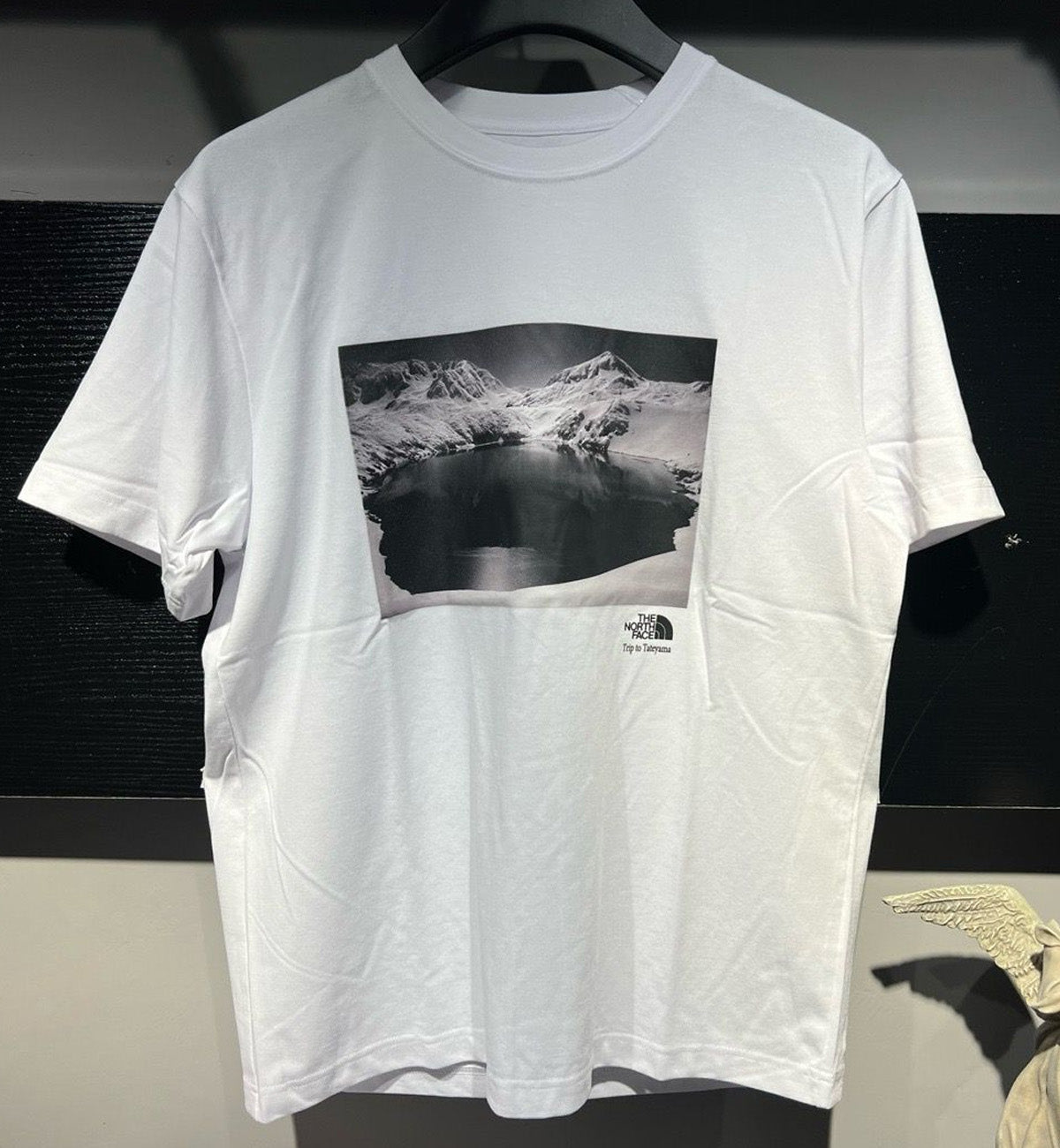 The North Face Mountain SS24 T-Shirt (White)