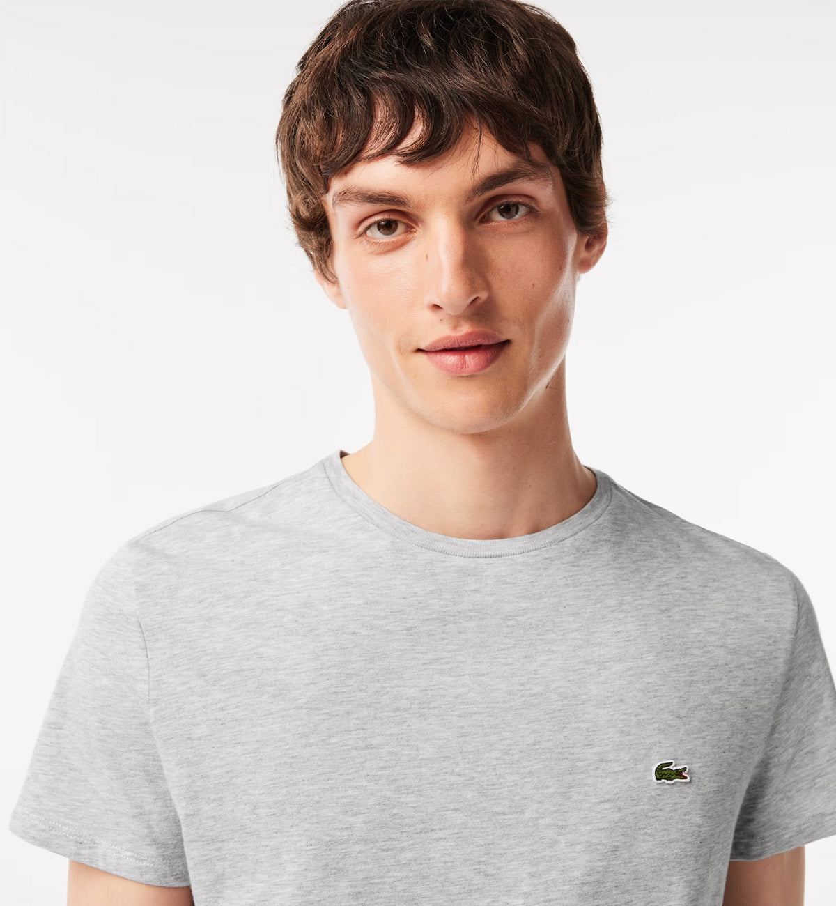 Lacoste Round Neck Small Logo T-Shirt (Grey)