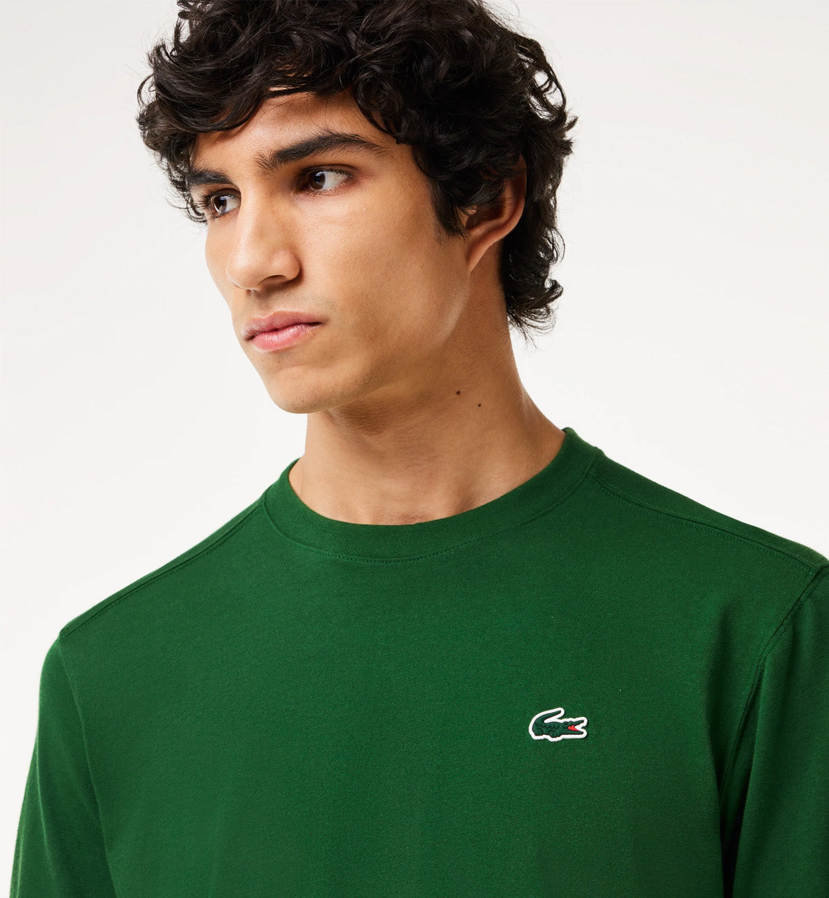 Lacoste Round Neck Small Logo T-Shirt (Green)