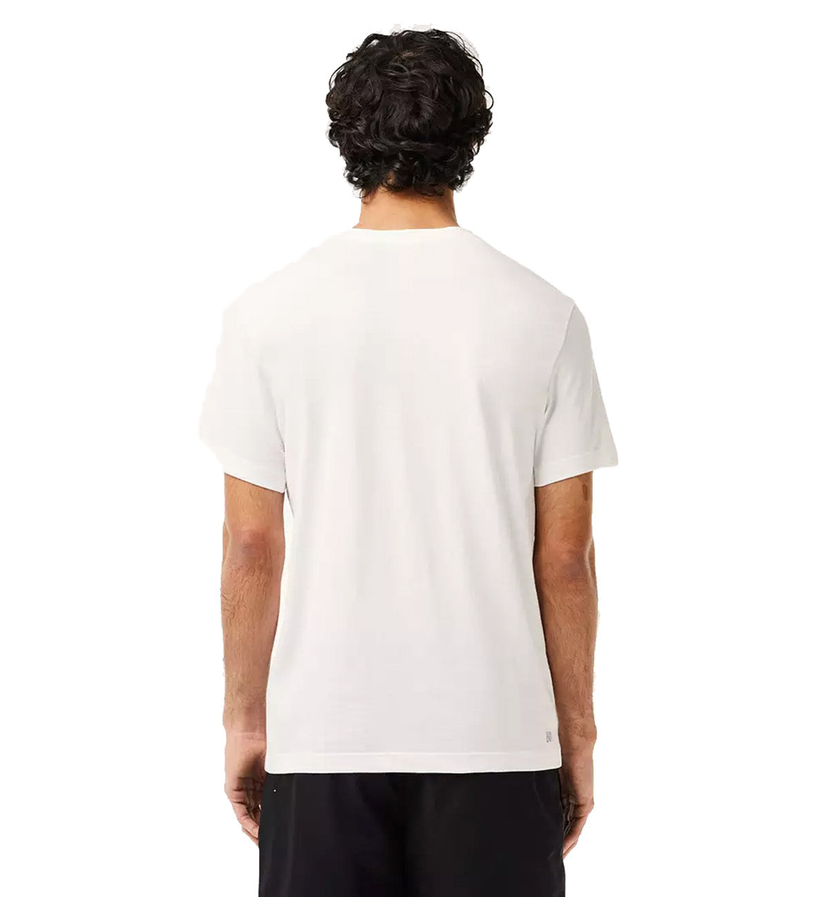 Lacoste Crocodile Printed T-Shirt (White)