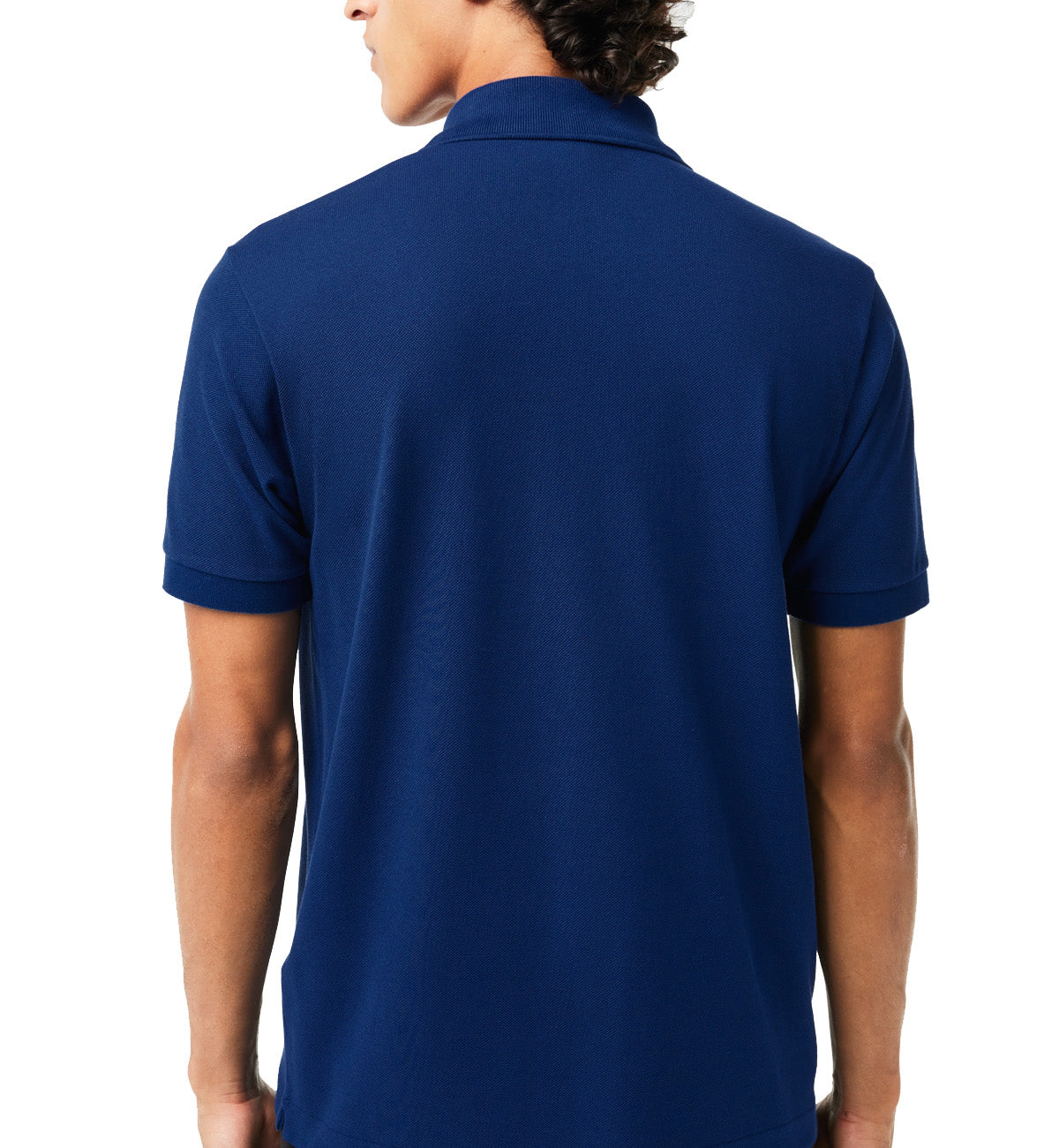 Lacoste Regular Fit Cotton Polo Shirt (Navy)