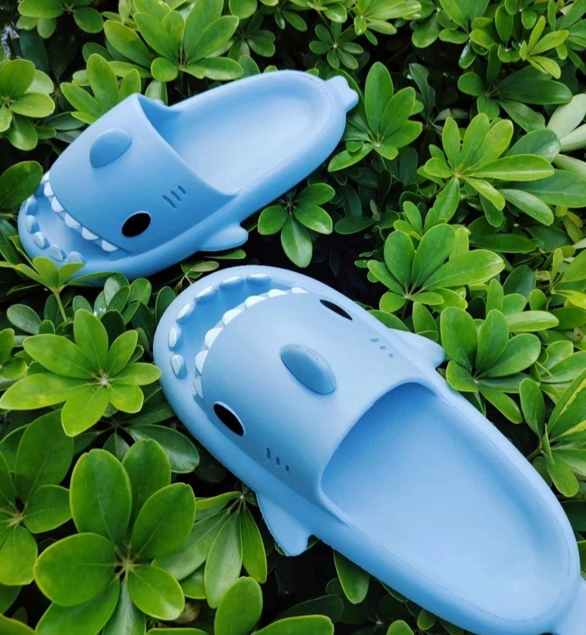 Chikoku Smooth Fun Shark Sandals (Blue)